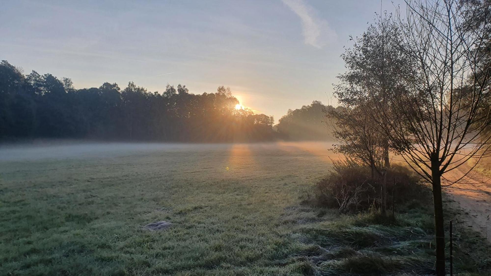 Am Gruenen Meer Myšyn エクステリア 写真